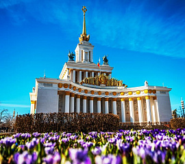 В парк ВДНХ