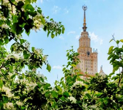 Москва из Тулы