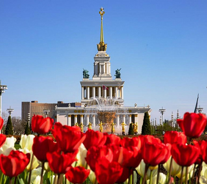 Туры в Москву из Тулы